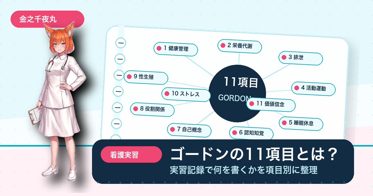 ゴードンの11項目とは？看護実習記録で何を書くかを項目別に整理 サムネイル